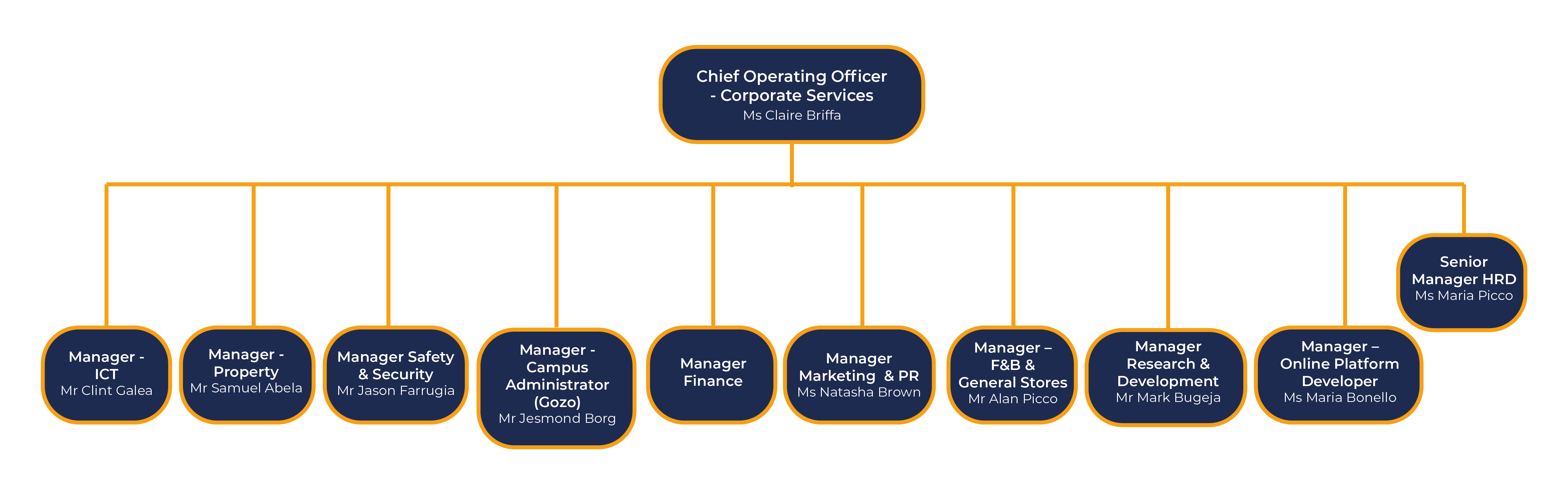 Organisation Chart